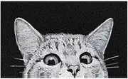 Cat Front Door Mat Outdoor Mud Absorbent, 45×75cm Welcome Mat for Indoor & Outdoor, Doormat Entrance Mat Rug Outside Patio/Inside Entry Way, Anti-Slip Mats Rubber Backing, Durable & Washable (B)