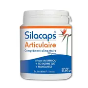 [Labo sante silice] Labo Sante Silica Silacaps Articolare 120 Capsules
