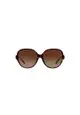 Coach Women's Square Frame Brown Acetate Sunglasses - HC8303B