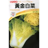 在飛比找蝦皮購物優惠-現貨）黃金白菜種子｜大白菜｜韓式泡菜用｜結球白菜｜秋冬種植｜