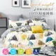FOCA三角洲 加大-韓風設計100%精梳純棉四件式兩用被床包組