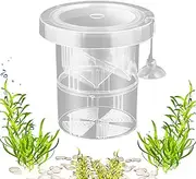 Fish Breeding Box, Baby Fishs Separator for Tank, Floating Fish Isolation Boxes, Transparent Aquarium Breeding Box for Fishtank, Aquarium Hatchery Incubator Tank