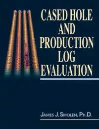 在飛比找博客來優惠-Cased Hole and Production Log 
