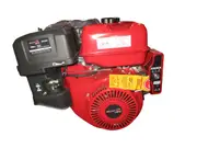 Petrol Engine 16 HP Electric Start Horizontal Shaft Stationary Motor