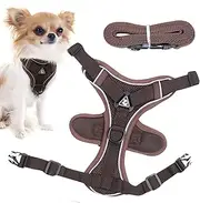 Cat Harness | Breathable Cat Vest Harness | Cat Harness and Lead Set for Walking Kitten and Puppy, Escape Proof Kitten Harness Reflective