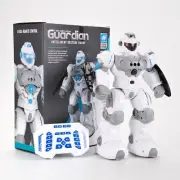 Modern Programmable RC Robot 2.4Ghz