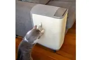 Cat Scratch Mat Couch Protector
