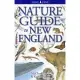 Nature Guide to New England