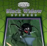 Black Widow Spiders