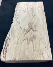 Live Edge Hackberry Spalting + Coloration on Elliptical wood grain background