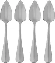 LALAFINA Stainless Steel Serrated Edge Fruit Spoon Set 4pcs Mirror Polished Non-Slip Handle for Stirring Serving