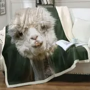 Funny Photo of Llama Throw Blanket