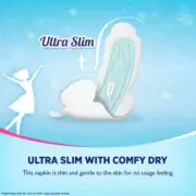 Sofy Cool Freshness Menthol Fresh Sanitary Pad | Size Super XL+ (Pack of 44)