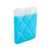 Esky Small Slim Ice Brick
