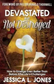 Devastated but Not Destroyed by Jessica L Jones [Paperback]