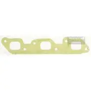 Platinum Extractor Gasket - HSM323