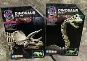 Dinosaur Dig Kit STEM Tool Brush Hammer Sand Block Triceratops & Diplodocus