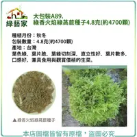 在飛比找蝦皮購物優惠-大包裝A89.綠香火焰綠萵苣種子4.8克(約4700顆)葉色