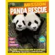 Panda Rescue: All About Pandas and How to Save Them