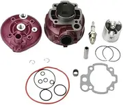 Motorcycle 49mm 90cc Big Bore Cylinder Kit & Head Fit For SM 50cc LC 2T AM6