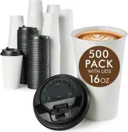 500 Pack 16 OZ Paper Coffee Cups, Disposable 16 OZ Coffee Cups with Lids, Col...