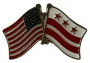 Pack of 6 USA American Washington D.C. Friendship Flag Bike Hat Cap lapel Pin