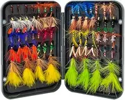 Fly Fishing Flies Kit with Fly Box, 64 Fly Fishing Flies Assortment for Bass Trout Salmon Fishing