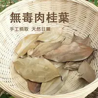 在飛比找樂天市場購物網優惠-無毒台灣原生種肉桂葉 有機農場產地直送