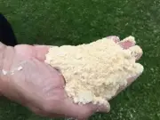 PINE SAWDUST | Hobby & Craft Scenery | Model Trains / Supplies / Dollhouse