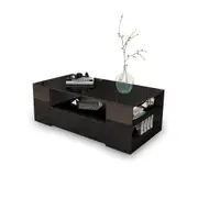 New 2 Drawer Coffee Table Storage Shelf High Gloss Black