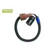 RAE Crankshaft Position Sensor - SC405