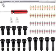 79 Pcs Tire Valve Stem Tool Puller and Installer Kit, TR412 TR413 TR414 Snap-in Valve Stems & Caps with Pure Copper Valve Stem Cores, Single Head Valve Core Remover