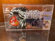 1995 TY Beanie Baby Ziggy the Zebra w. Swing Tag, Box, and Club Card