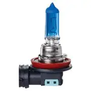 Ignite H11 4300K Halogen Globes - Pack of 2 - IGL2011
