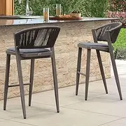 Purple Leaf Barstool (Stone Grey, Modern Bar Height Stool)