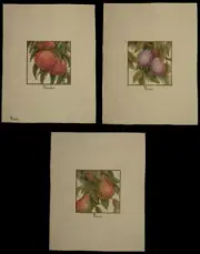 Fruit Trees, Handmade Cross Stitch, Unframed, Peach Pear Plum *You Choose*