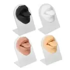 Silicone Tongue Mouth Model With Display Stand Simulated 3D Tongue Piercing HEE
