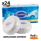 24 Box GANO EXCEL SOAP Enrich Ganoderma & Goat Milk (2 BAR PER BOX) DHL EXPRESS
