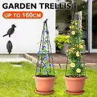 Plants Support fiberglass Cage Trellis Climbing Frame Rose Vine Stand 120/160cm