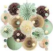Sage Green and Brown Party Decorations Paper Lanterns Sage Green Brown Tissue Paper Pom Poms for Sage Green and Brown Birthday Decorations Baby Shower Bridal Shower Wedding Engagement Party