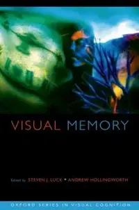 在飛比找博客來優惠-Visual Memory