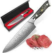 Chef Knife 8 Inch Damascus Steel Kitchen Chef's Knife Razor Sharp Meat Cleaver with Ergonomic Natural Resin Handle Cooking Knife,Gift Box (Chef Knife 8 Inch)