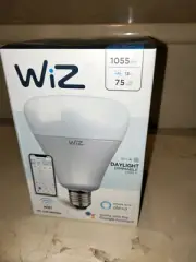 Wiz G100 E27 daylight smart globe BRAND NEW