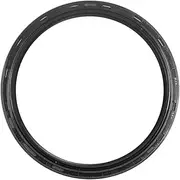 Crankshaft Rear Seal OSS0263