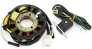 Wivplex Motorcycle Stator Coil Magneto Engine Stator Coil ，for CMX250 Rebel CMX 250 CMX250X CB250 Nighthawk Two Fifty CB 250 Police Motorcycle Ignition Coil