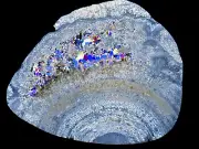 Stunning GOBI EYE AGATE thin section microscope slide Achat Dünnschliff