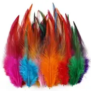 Feathers for Crafting240pcs 5-7inch Colorful Craft Rooster FeathersSaddle Hac...