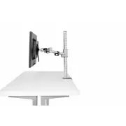 DaisyOne Monitor Arm