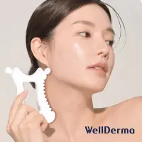 在飛比找松果購物優惠-【韓國WellDerma】陶瓷刮痧板 臉部按摩器 美體刮痧板