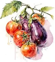 TAOPAOLAB Farm Fresh Paint by Numbers Kit for Adults - DIY Tomatoes and Eggplants Still Life Painting on Canvas 16x20In, Acrylic Paint Set, Suitable for Beginners, Art for Home Decoration or Gifts